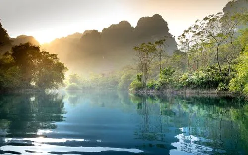 高标准绿色高端